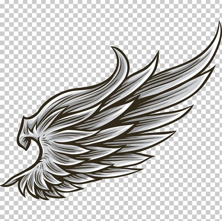Drawing Angel Wing PNG, Clipart, Angel Wing, Beak, Bird, Black And White, Drawing Free PNG Download