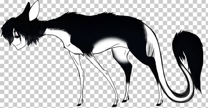 Canidae Cat Macropods Horse Mammal PNG, Clipart, Animals, Black And White, Canidae, Carnivoran, Cat Free PNG Download