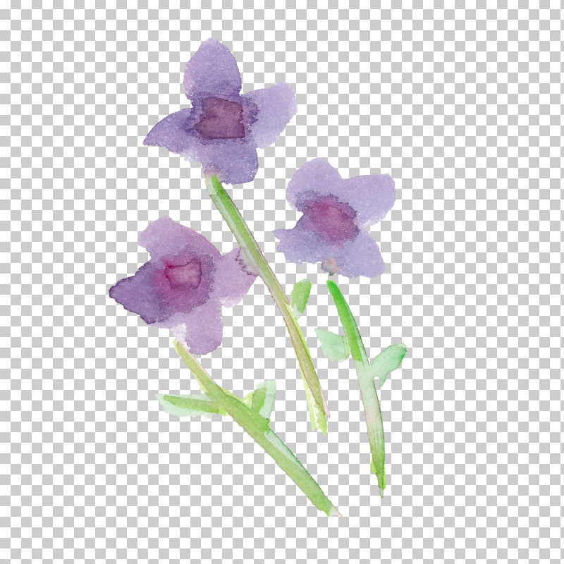 Flower Violet Plant Purple Petal PNG, Clipart, Cattleya, Cattleya Labiata, Cut Flowers, Dendrobium, Flower Free PNG Download