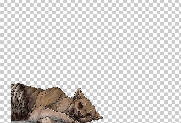 Cat Lion Canidae Dog Fur PNG, Clipart, Animals, Big Cat, Big Cats, Canidae, Carnivoran Free PNG Download