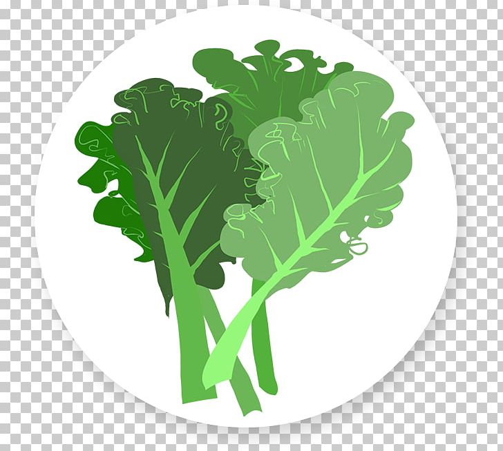 Leaf Vegetable Chard Herb PNG, Clipart, Beetroot, Chard, Clover, Cultivar Group, Flavor Free PNG Download