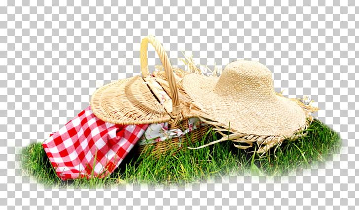 The C Programming Language Picnic Stock Photography Design PNG, Clipart, Christmas Ornament, C Programming Language, Grass, Meadow, Picnic Free PNG Download