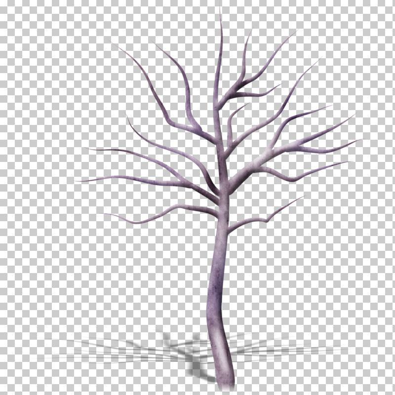 White Tree Leaf Plant Branch PNG, Clipart, Branch, Grass, Grass Family, Leaf, Line Free PNG Download