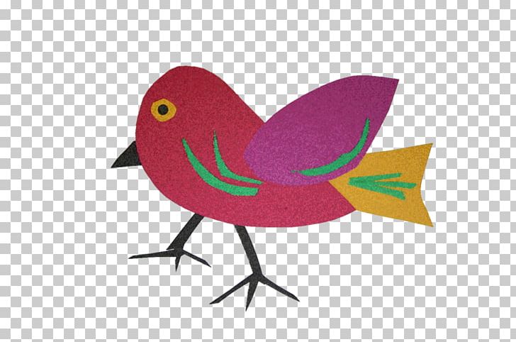 Beak Water Bird PNG, Clipart, Animals, Beak, Bird, Craft, Feather Free PNG Download