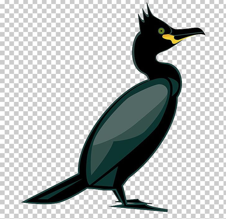 Seabird European Shag Water Bird Goose PNG, Clipart, Animals, Beak, Bird, Boat, Cormorant Free PNG Download