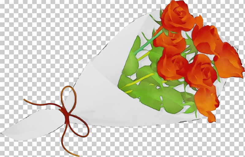 Orange PNG, Clipart, Anthurium, Bouquet, Cut Flowers, Flower, Flowers Free PNG Download