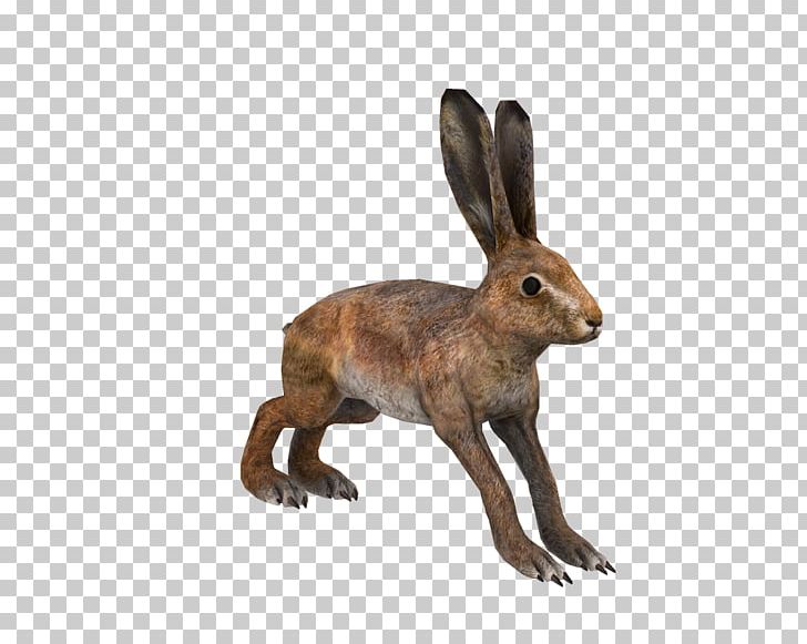 Domestic Rabbit DayZ Hare Zombie PNG, Clipart, Animal, Dayz, Dean Hall, Domestic Rabbit, Fauna Free PNG Download