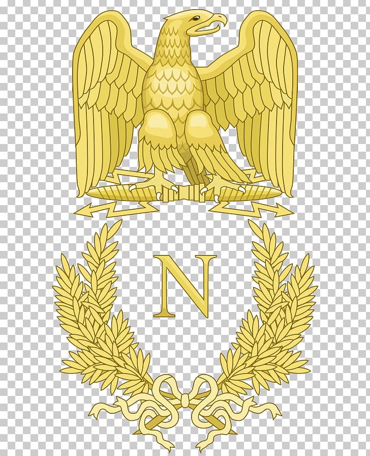 Napoleonic Wars French Imperial Eagle First French Empire French First Republic France PNG, Clipart, Army Officer, Beak, Bird, Bird Of Prey, Bonaparte Free PNG Download