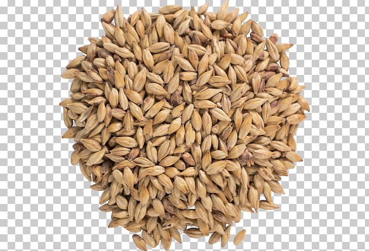 Oat Beer Bock Ale Malt PNG, Clipart, Avena, Barley, Beer, Beer Brewing Grains Malts, Bock Free PNG Download