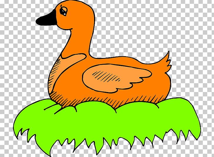 Duck Mallard Bird Nest PNG, Clipart, Animal Figure, Animals, Artwork, Beak, Bird Free PNG Download