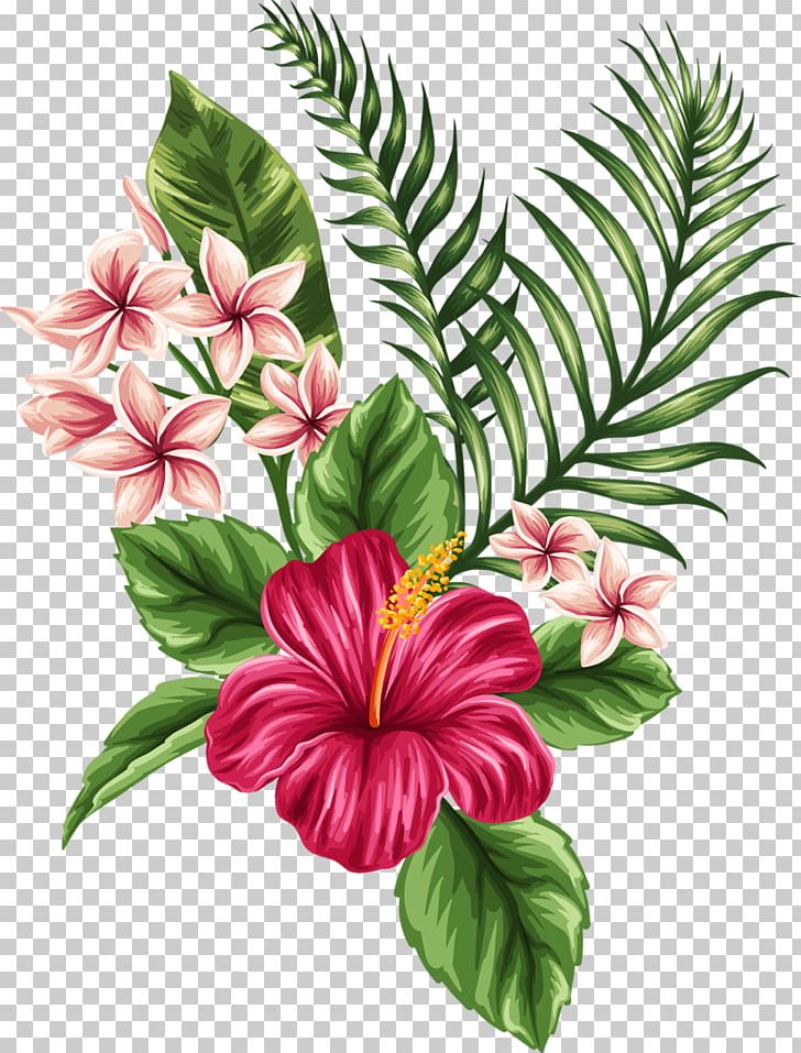 Flower Tropics Drawing PNG, Clipart, Clip Art, Cut Flowers, Drawing, Floral Design, Floristry Free PNG Download