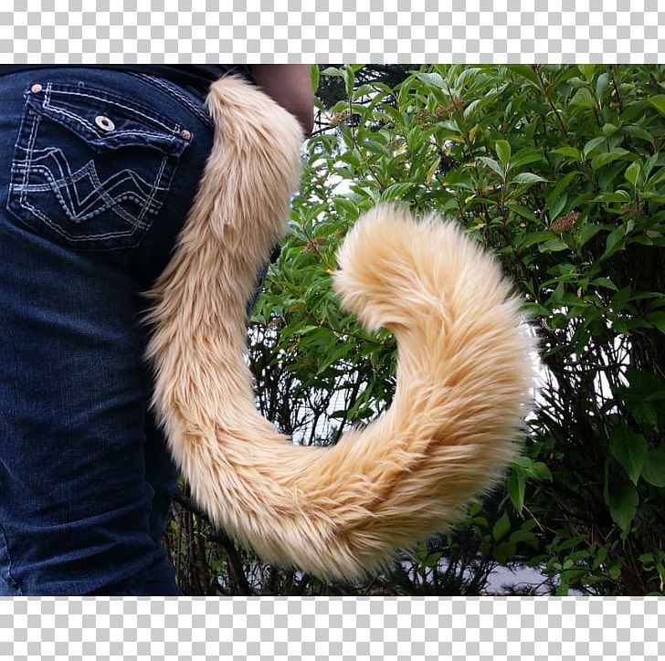 Tail Big Cat Felidae Fur PNG, Clipart, Animals, Big Cat, Cat, Cattail, Cheshire Cat Free PNG Download