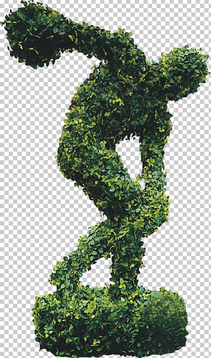 U9634u830eu5305u76ae Phimosis Andrology PNG, Clipart, Background Green, Bonsai, Environmental, Environmental Protection, Evergreen Free PNG Download