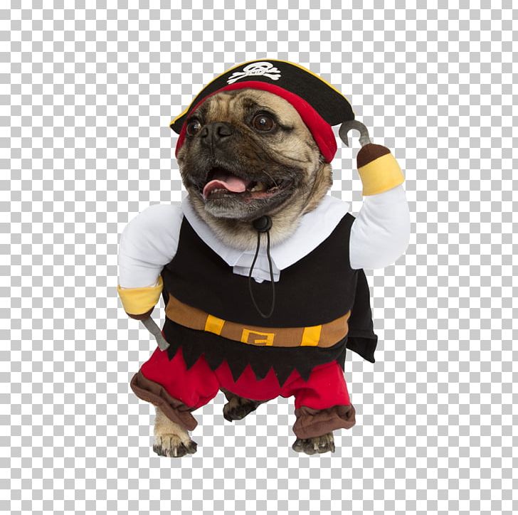 Dog Breed Pug Halloween Costume Clothing PNG, Clipart, Animals, Breed, Carnivoran, Cat, Clothing Free PNG Download