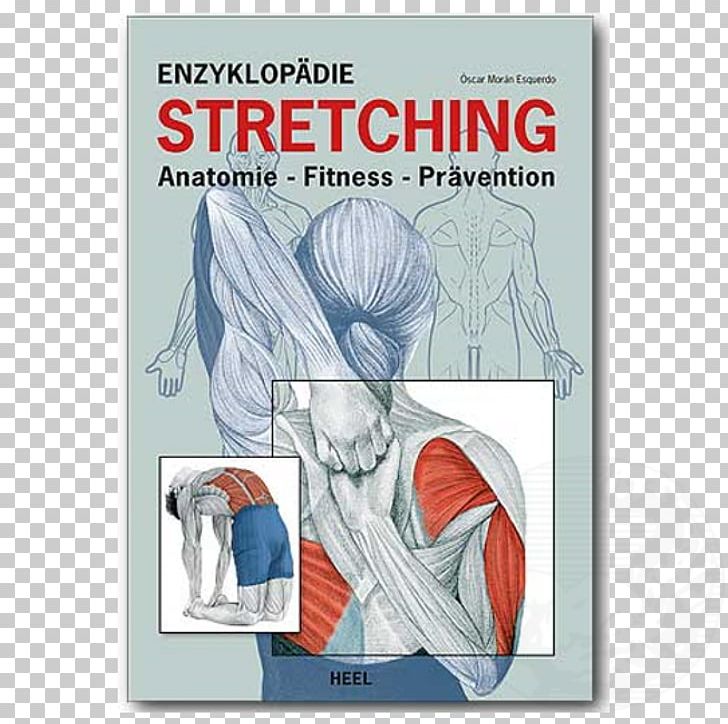 Enzyklopädie Stretching: Anatomie PNG, Clipart, Book, Fiction, Flexibility, Graphic Design, Human Free PNG Download