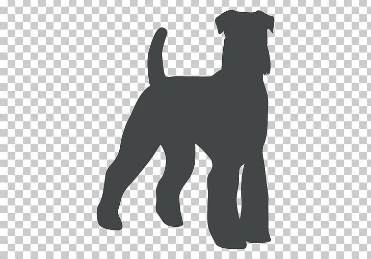 Miniature Schnauzer Puppy Dog Breed Companion Dog Labrador Retriever PNG, Clipart, Animals, Black, Black And White, Black Dog, Carnivoran Free PNG Download