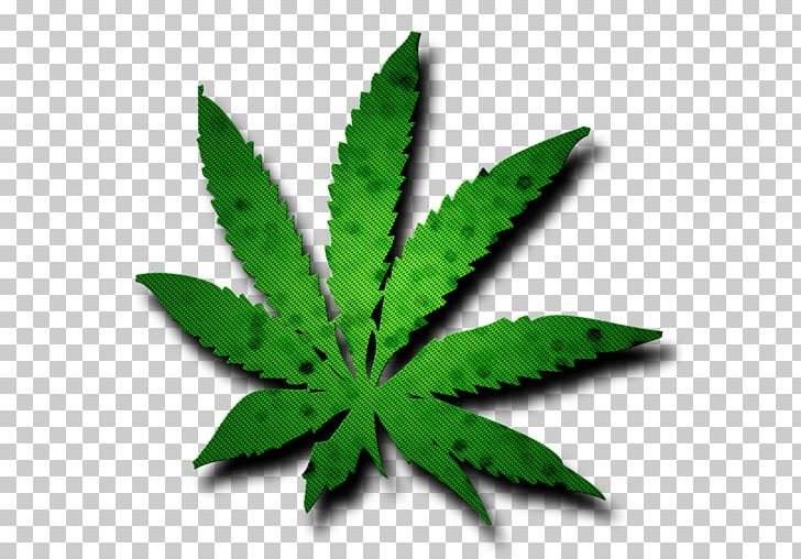 Wall Decal Cannabis Bumper Sticker PNG, Clipart, 420 Day, Bong, Bumper Sticker, Cannabis, Cannabis Smoking Free PNG Download
