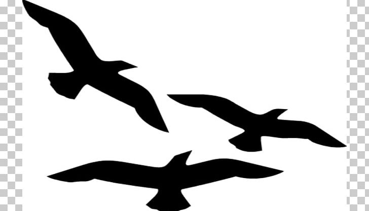 Bird Flight Silhouette PNG, Clipart, Art, Artwork, Beak, Bird, Bird Flight Free PNG Download