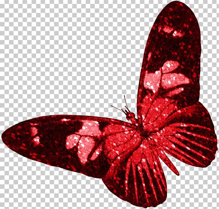Butterfly Insect Red PNG, Clipart, Arthropod, Butterflies And Moths, Butterfly, Color, Greta Oto Free PNG Download