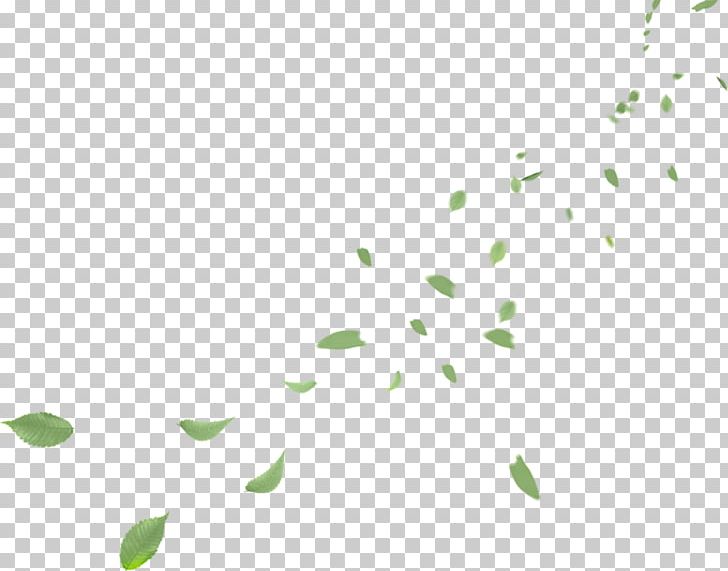 Leaf Petal PNG, Clipart, Border Frames, Branch, Circle, Computer Software, Computer Wallpaper Free PNG Download