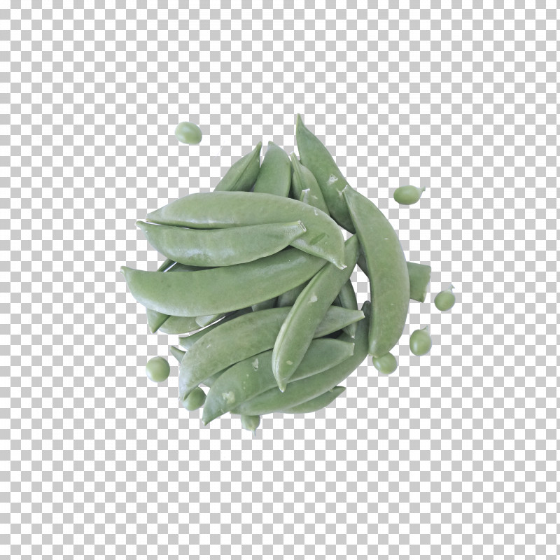 Lima Bean PNG, Clipart, Lima Bean Free PNG Download