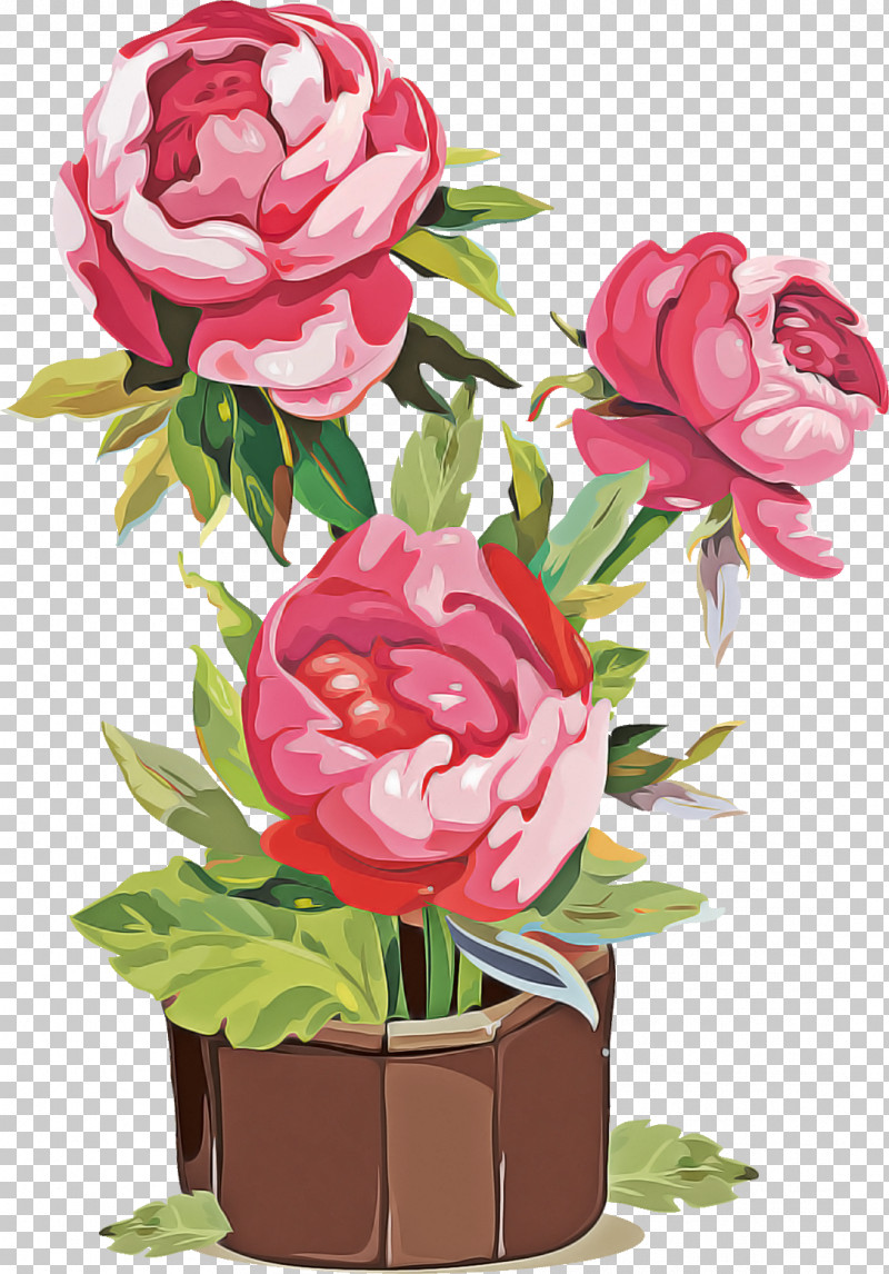 Garden Roses PNG, Clipart, Artificial Flower, Camellia, Chinese Peony, Common Peony, Cut Flowers Free PNG Download