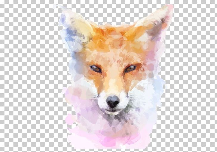 Fox Watercolor Painting Stock Illustration Illustration PNG, Clipart, Animals, Art, Carnivoran, Color, Dog Like Mammal Free PNG Download