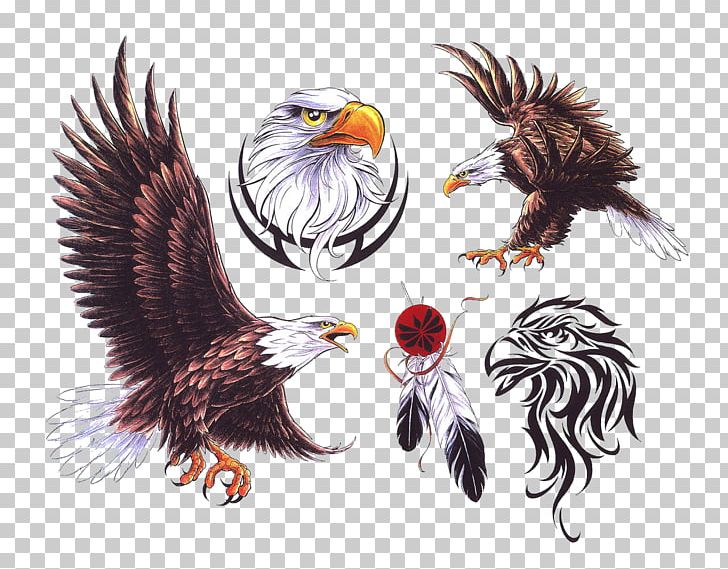 NZ Ink Tattoo Studio Eagle Bird PNG, Clipart, Animals, Art, Bald Eagle, Beak, Bird Of Prey Free PNG Download