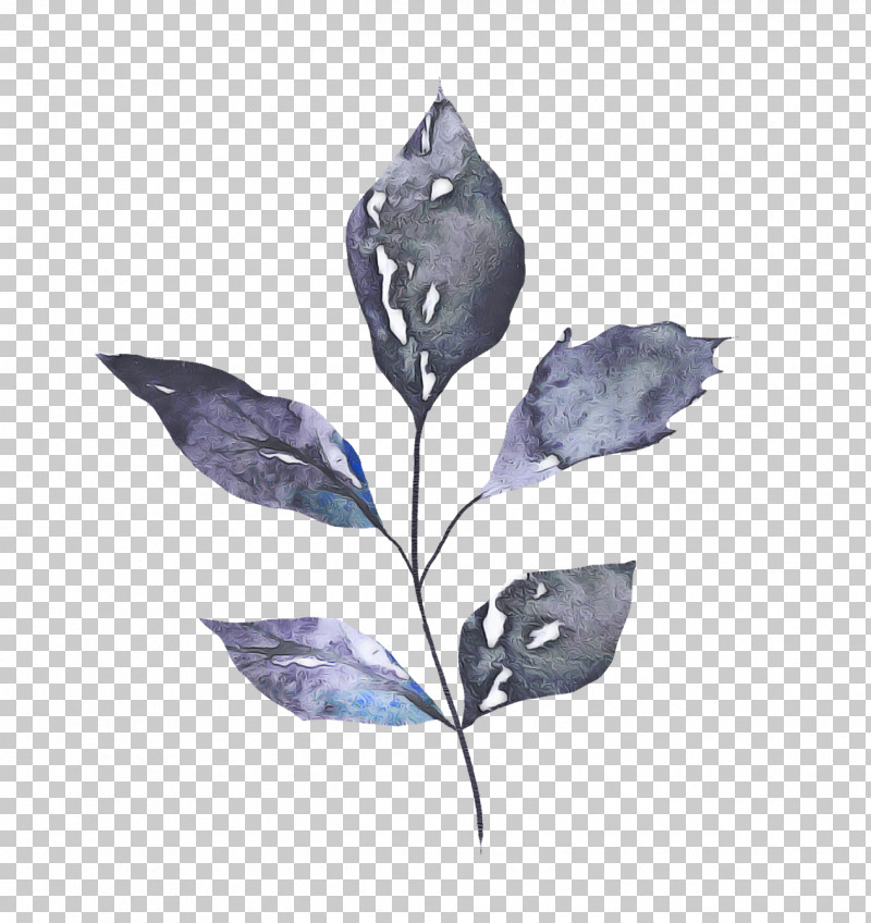 Leaf Cobalt Blue / M Lilac / M Lilac M Branching PNG, Clipart, Biology, Branching, Leaf, Lilac M, Plants Free PNG Download