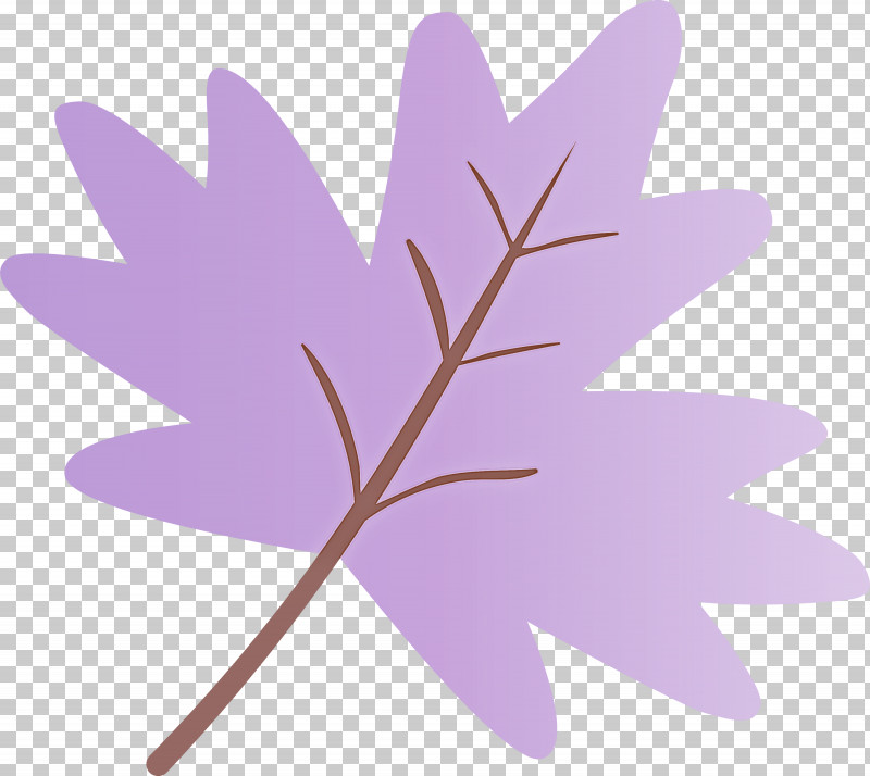 Leaf Purple Violet Plant Pink PNG, Clipart, Flower, Leaf, Lilac, Petal, Pink Free PNG Download