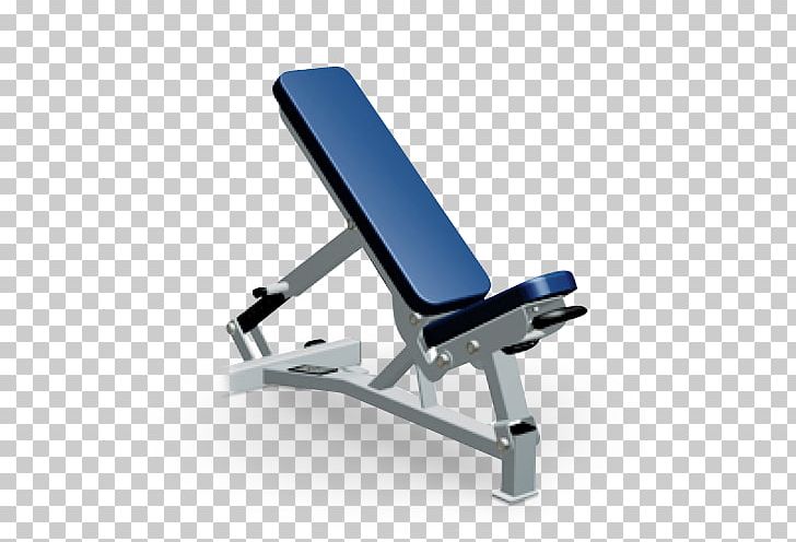 Bench Strength Training Weight Training Barbell Physical Exercise PNG, Clipart, Barbell, Bench, Bench Press, Crunch, Dip Free PNG Download