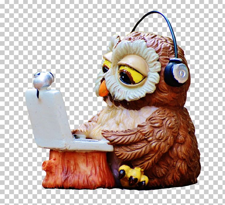 Owl Laptop Bird PNG, Clipart, Animal, Animals, Baykus, Beak, Bird Free PNG Download