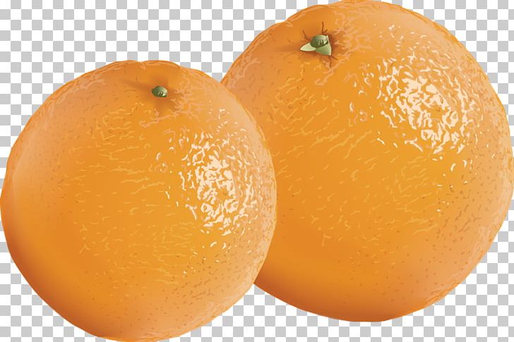 Tangerine Mandarin Orange Clementine Tangelo PNG, Clipart, Bitter Orange, Citric Acid, Citrus, Clementine, Food Free PNG Download
