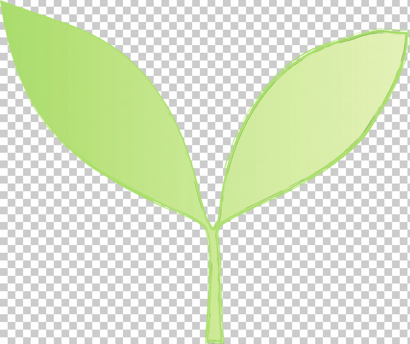 Leaf Green Plant Flower Tree PNG, Clipart, Bud, Eucalyptus, Flower, Flush, Green Free PNG Download