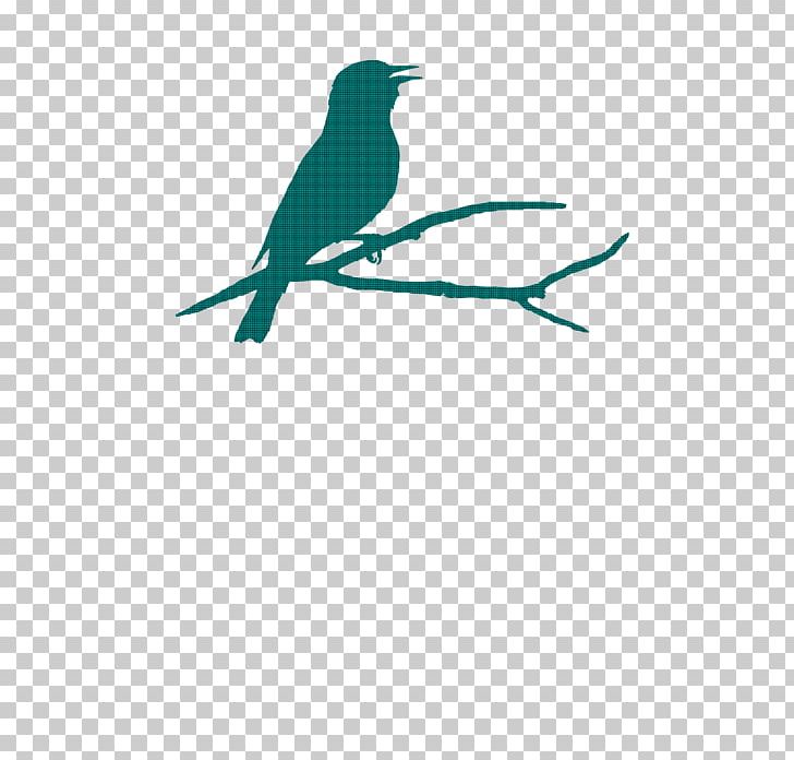 Beak Teal Turquoise Feather PNG, Clipart, Beak, Bird, Branch, Fauna, Feather Free PNG Download