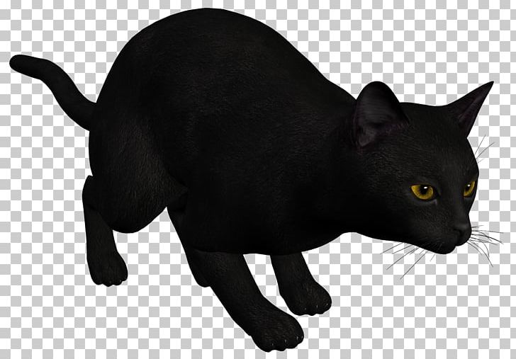 Cat Kitten Drawing PNG, Clipart, Animals, Asian, Black, Black Cat, Bombay Free PNG Download