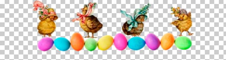 Easter Egg Spring Video PNG, Clipart, Easter, Easter Egg, Egg, Estanbol, Feather Free PNG Download