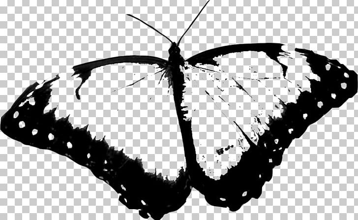 Monarch Butterfly Pieridae Brush-footed Butterflies Blue Morpho PNG, Clipart, Black And White, Blue, Blue Butterfly, Brush Footed Butterfly, Butterflies And Moths Free PNG Download