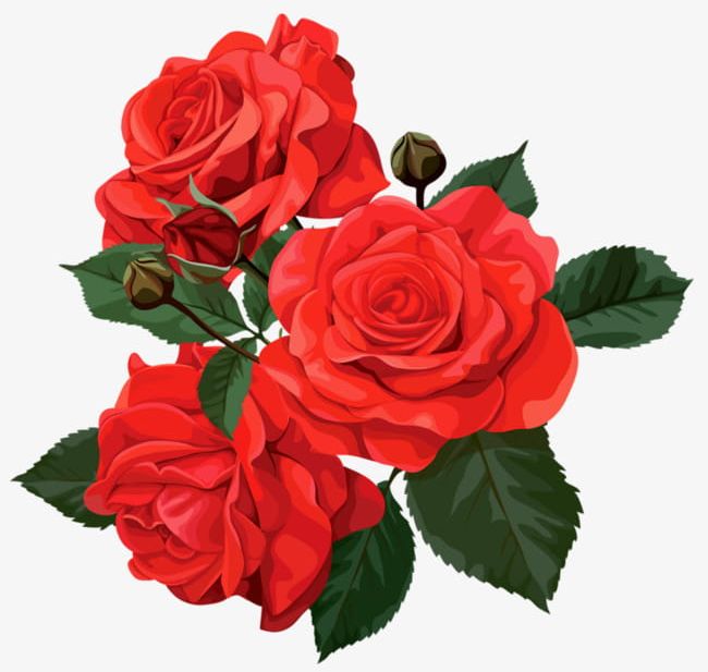 Red Roses With Thorns PNG, Clipart, Flowers, Green, Green Leaves, Leaves, Love Free PNG Download