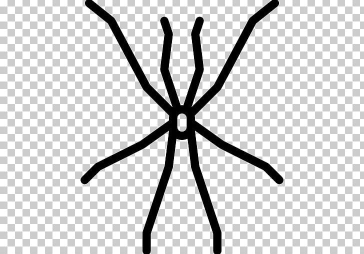 Insect Entomology Arachnid PNG, Clipart, Animal, Animals, Arachnid, Artwork, Black And White Free PNG Download