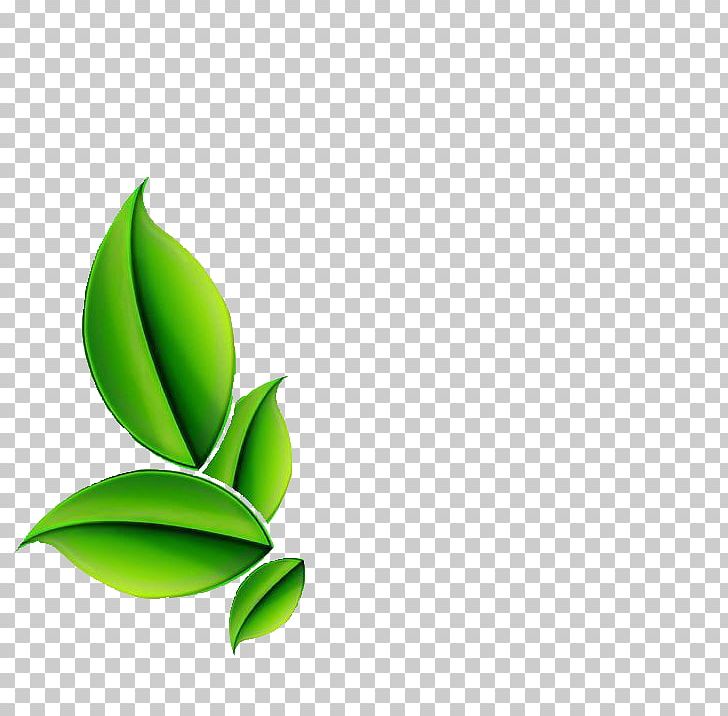 Logo Design Herb Product Sadaqat Dawakhana PNG, Clipart, Art, Computer Wallpaper, Flower, Graphic Design, Grass Free PNG Download