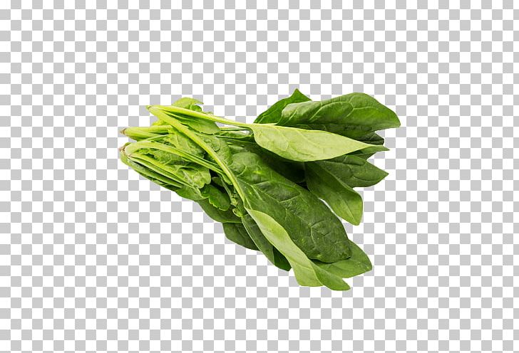 Romaine Lettuce Spinach Chard Falafel Tortelloni PNG, Clipart,  Free PNG Download