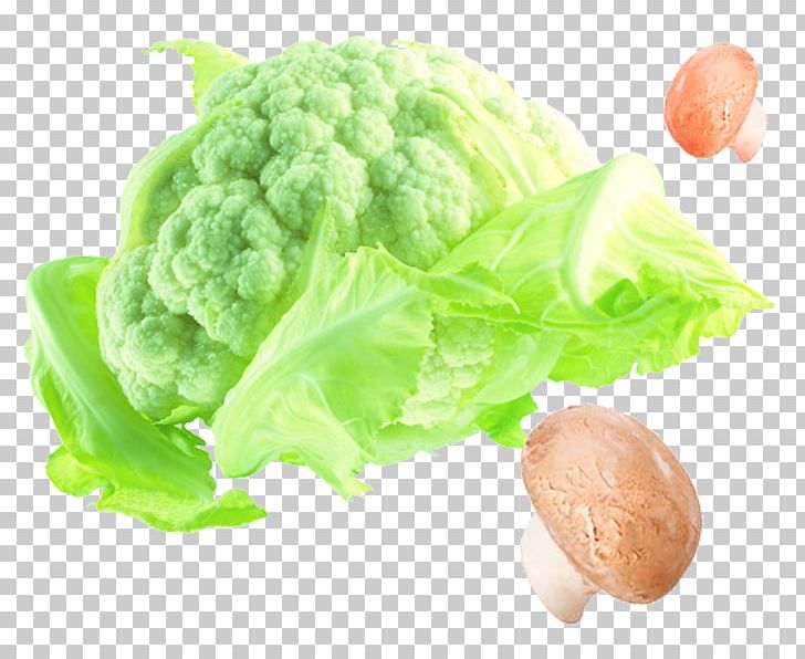 Cruciferous Vegetables Cauliflower Broccoli Cabbage PNG, Clipart, Bro, Cabbage, Cauliflower, Cooking, Food Free PNG Download