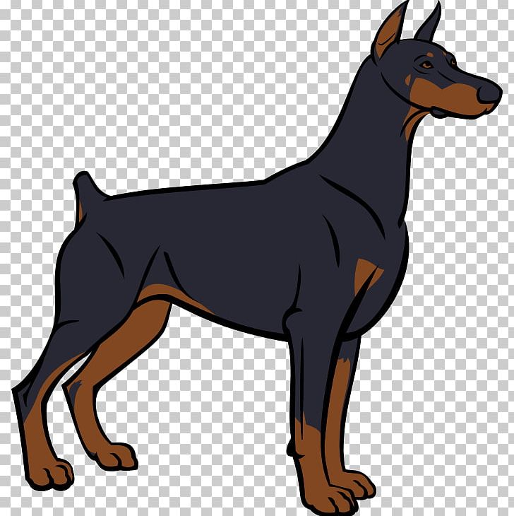 German Pinscher Miniature Pinscher English Toy Terrier Manchester Terrier Dobermann PNG, Clipart, Ancient Dog Breeds, Animal, Black And Tan Terrier, Breed, Canidae Free PNG Download