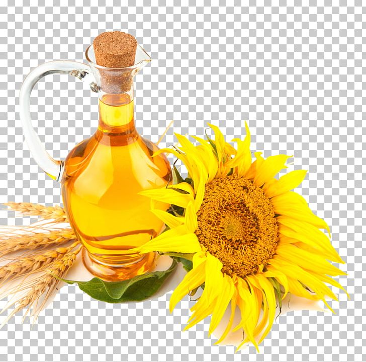 Safflower Oil Sunflower Oil Cooking Oils PNG, Clipart, Cooking Oil, Flower Pattern, Flowers, Flower Vector, Food Free PNG Download
