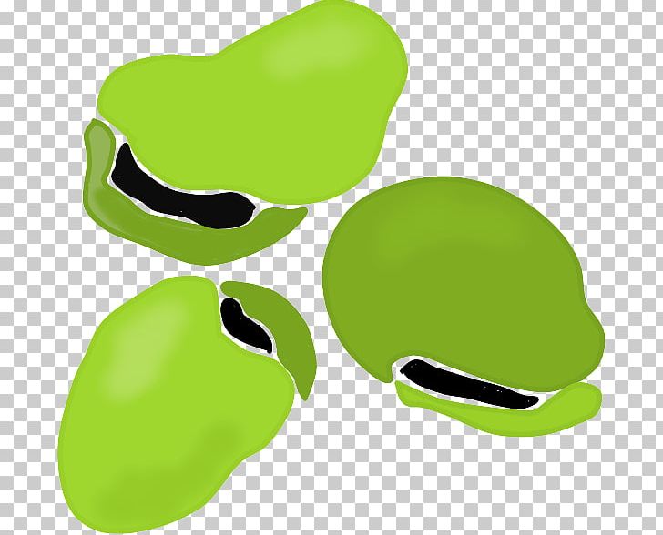 Broad Bean Nakamura Elementary School Kanan Choritsu Shiraki Elementary School PNG, Clipart, Bean, Broad Bean, Edamame, Food, Fruit Free PNG Download