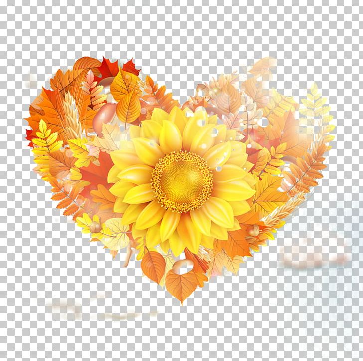 Common Sunflower Gold PNG, Clipart, Blue, Cartoon, Dahlia, Daisy Family, Flower Free PNG Download