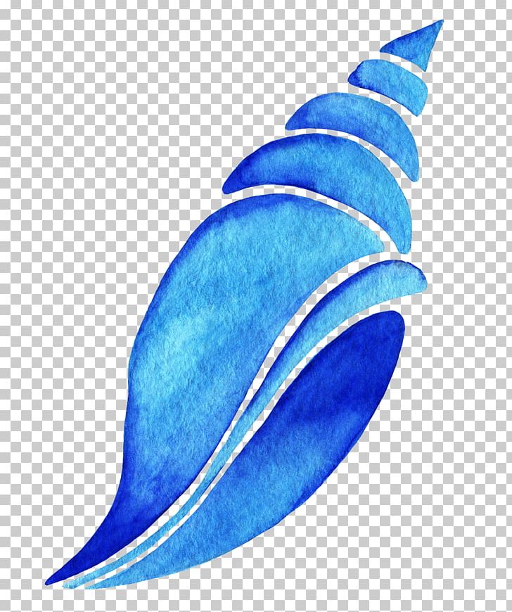 Drawing Watercolor Painting PNG, Clipart, Aqua, Cartoon, Computer Network, Conch, Conch Shell Free PNG Download