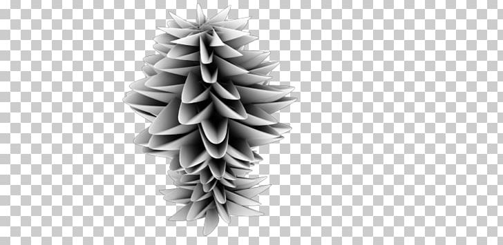 Fir Christmas Ornament Spruce Christmas Tree Pine PNG, Clipart, Black And White, Christmas, Christmas Decoration, Christmas Ornament, Christmas Tree Free PNG Download