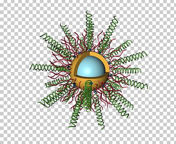 Insect Christmas Ornament Font PNG, Clipart, Biomedical Engineering, Christmas, Christmas Ornament, Insect, Invertebrate Free PNG Download